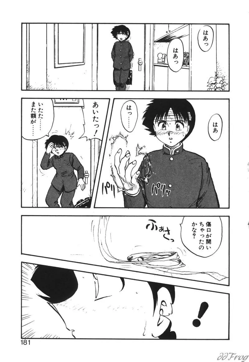 幻想少女図鑑 Page.177
