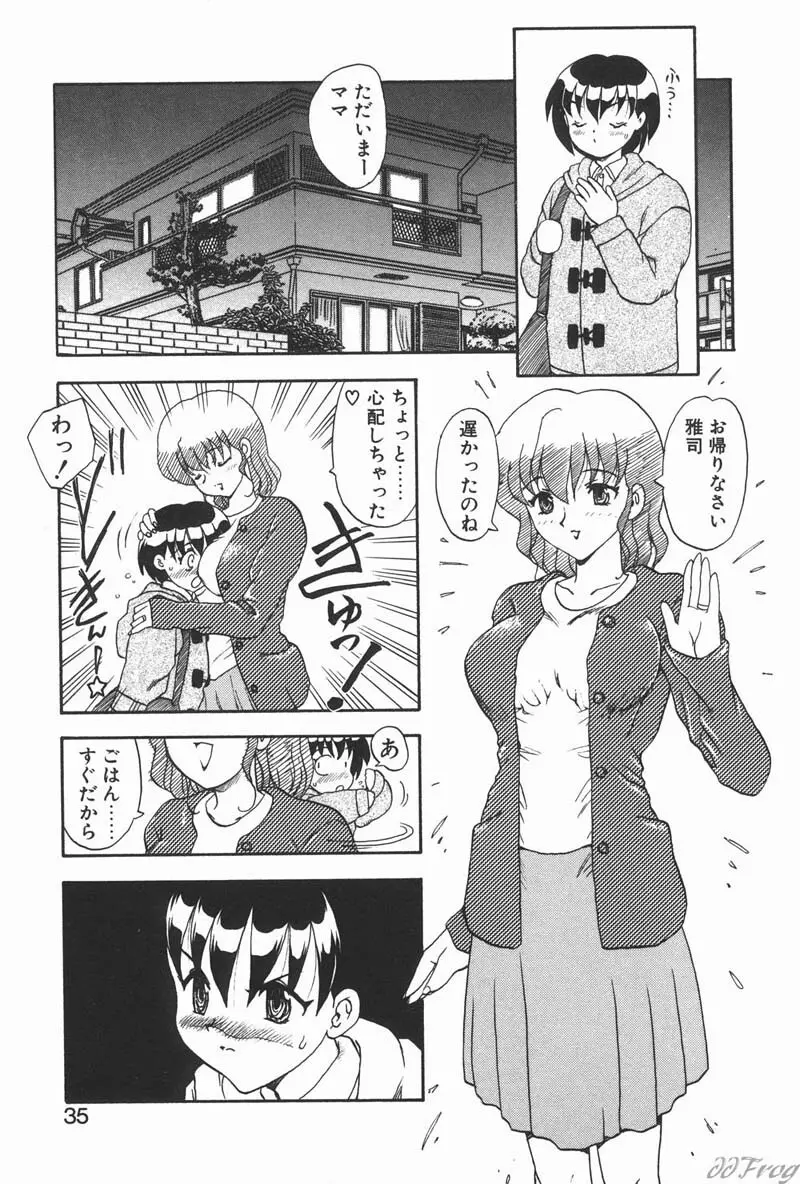 幻想少女図鑑 Page.33