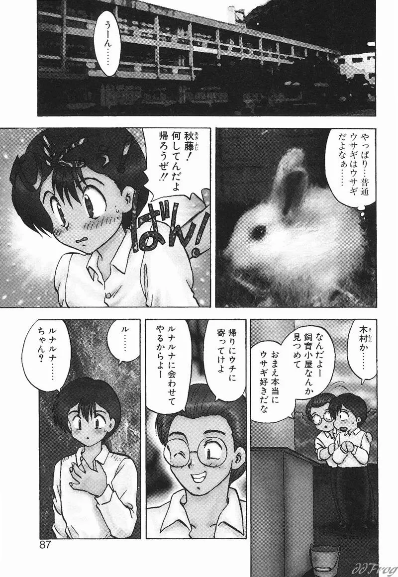 幻想少女図鑑 Page.85