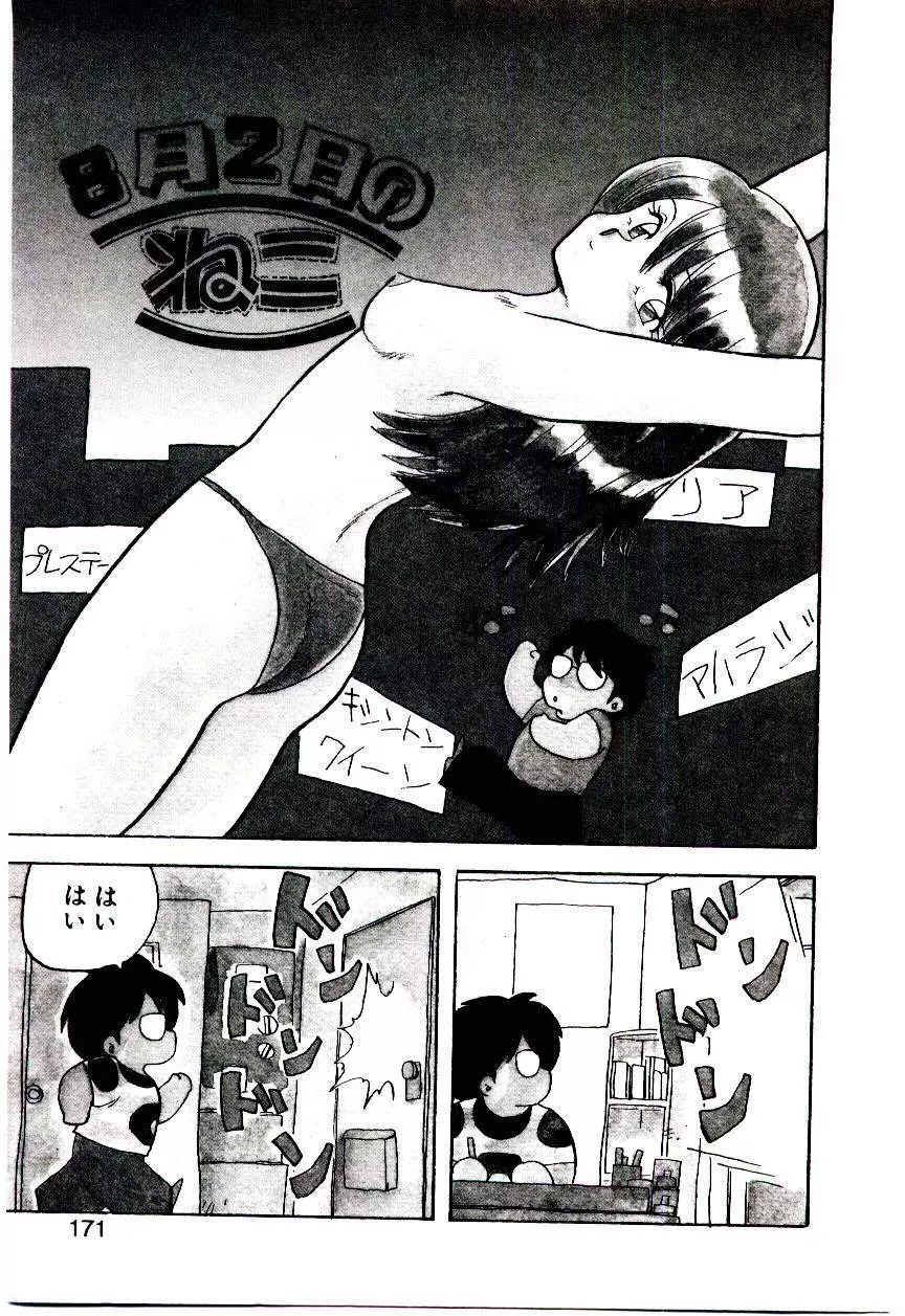 マテリアル レディ Page.170