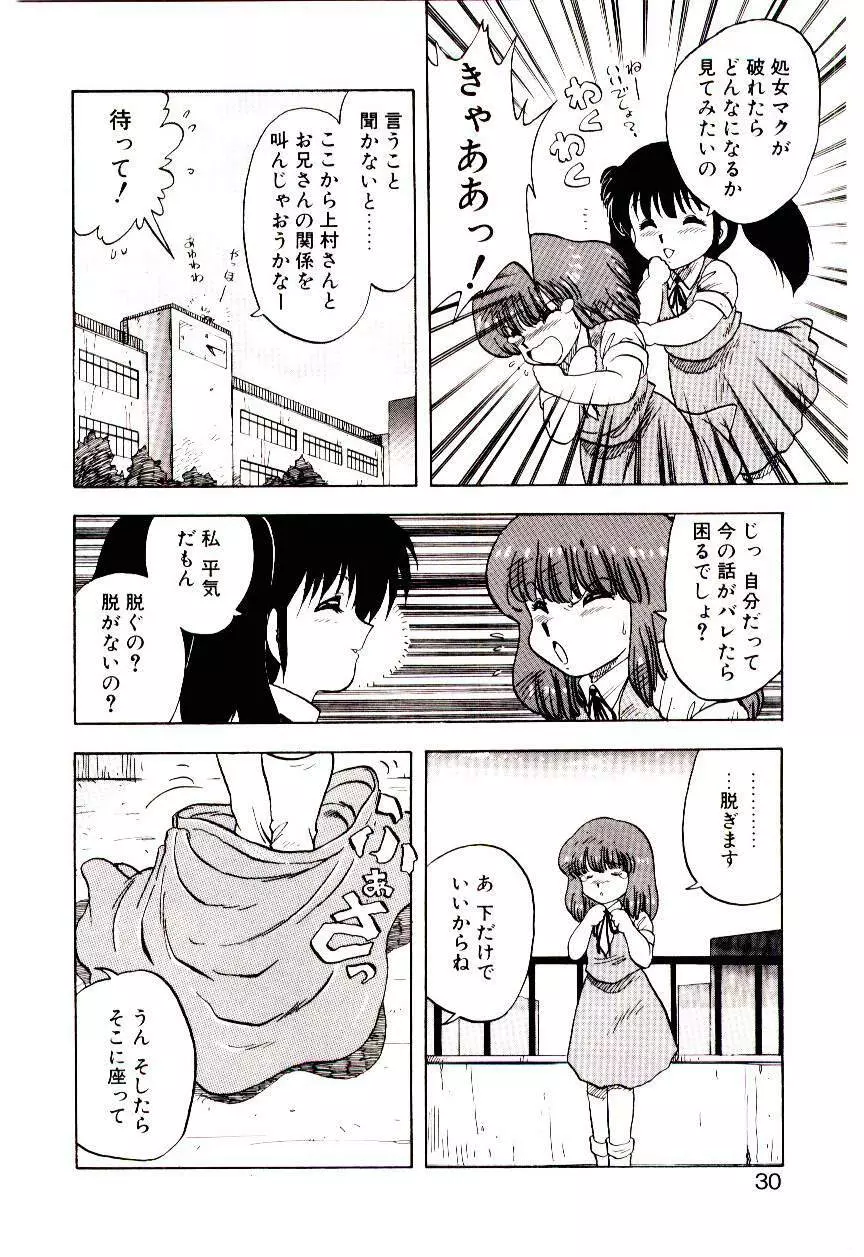 マテリアル レディ Page.29