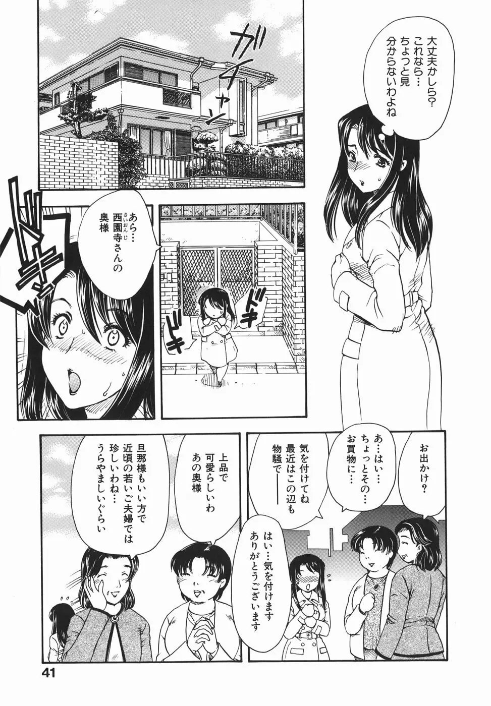 或る未亡人の肖像 Page.43