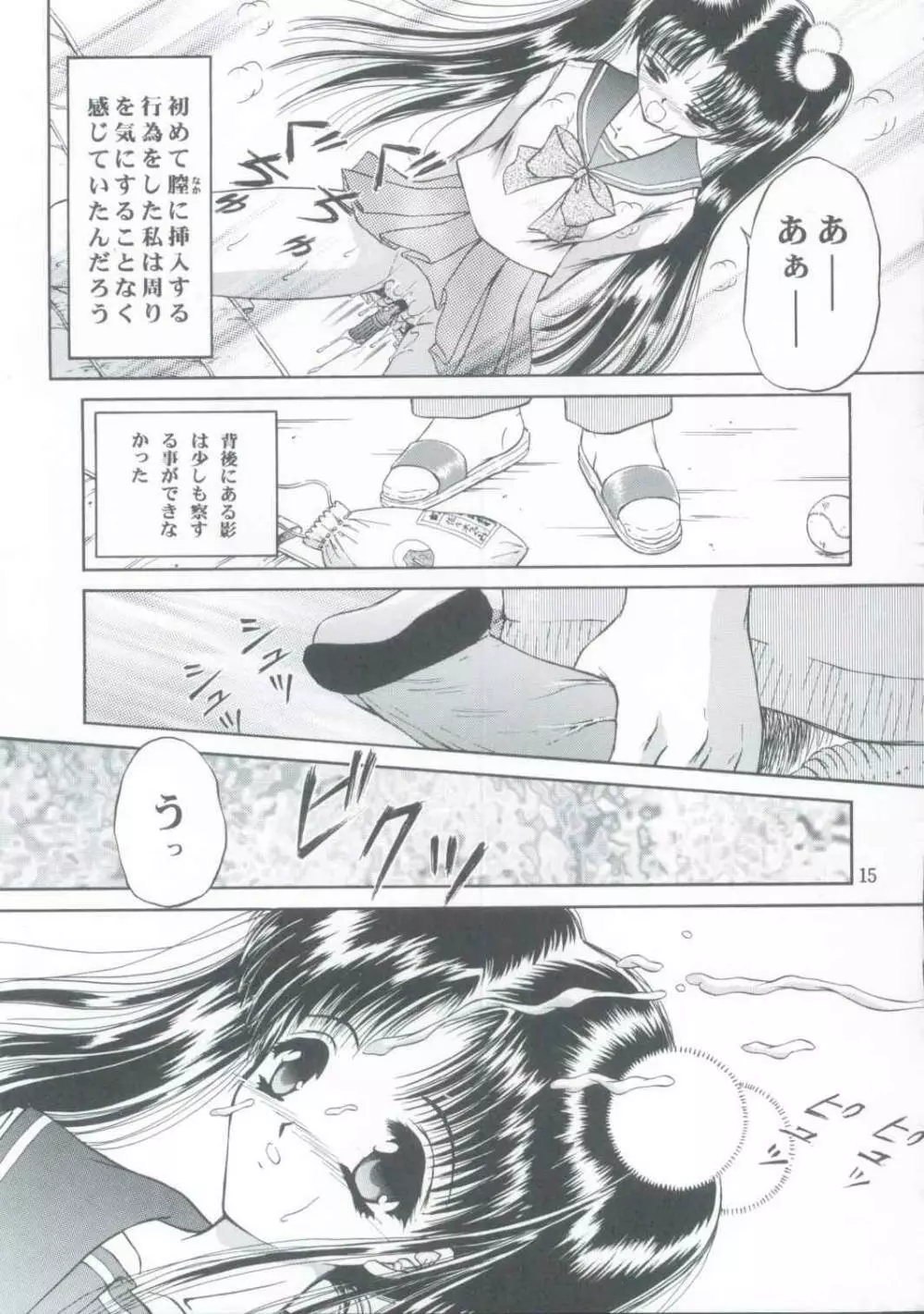 少女姦禁 5 Page.14