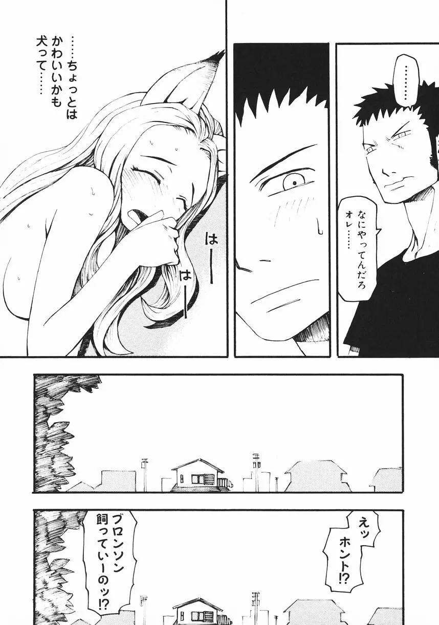 クラッシュ万事休ス Page.164