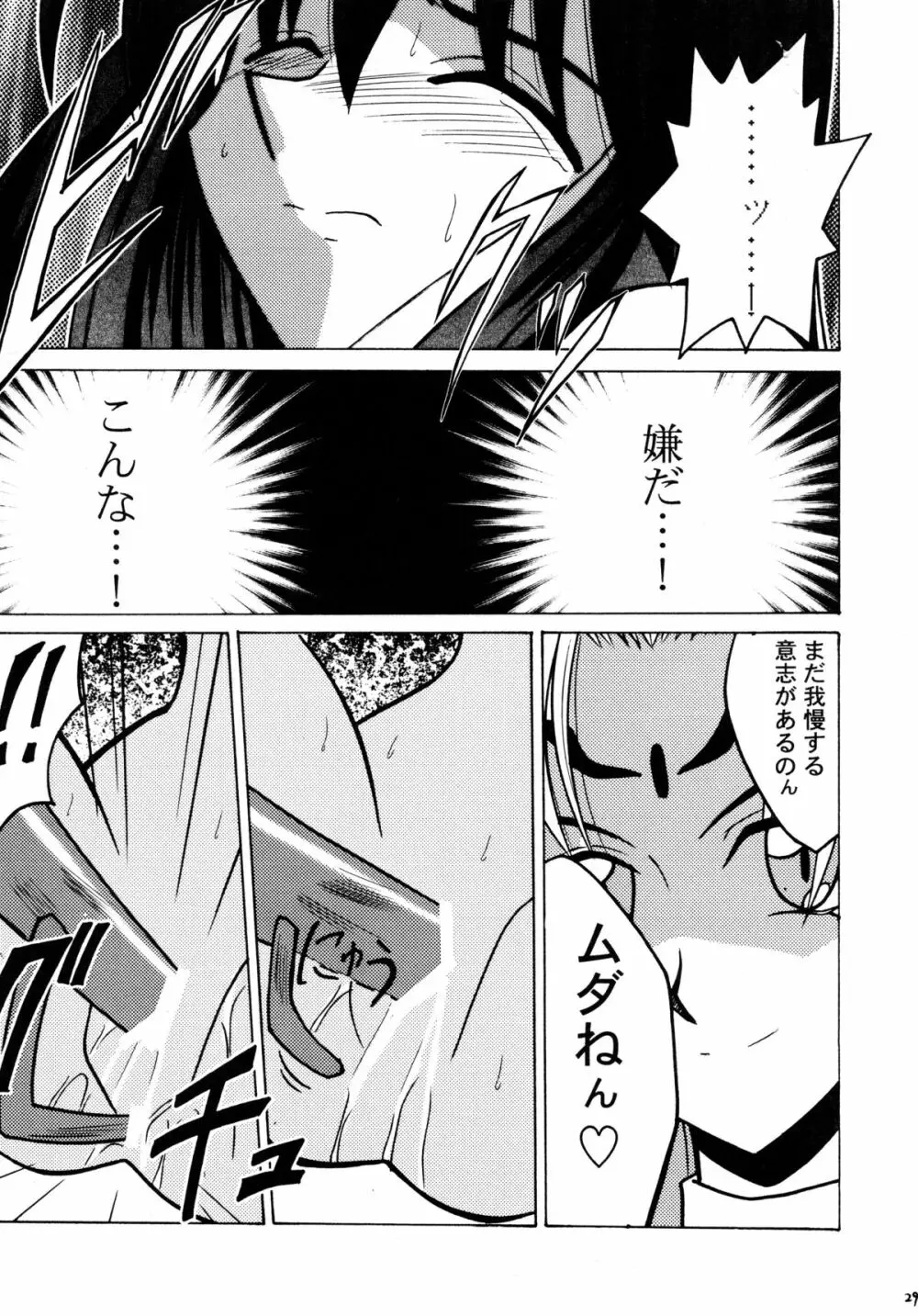 公主陵辱 Page.29