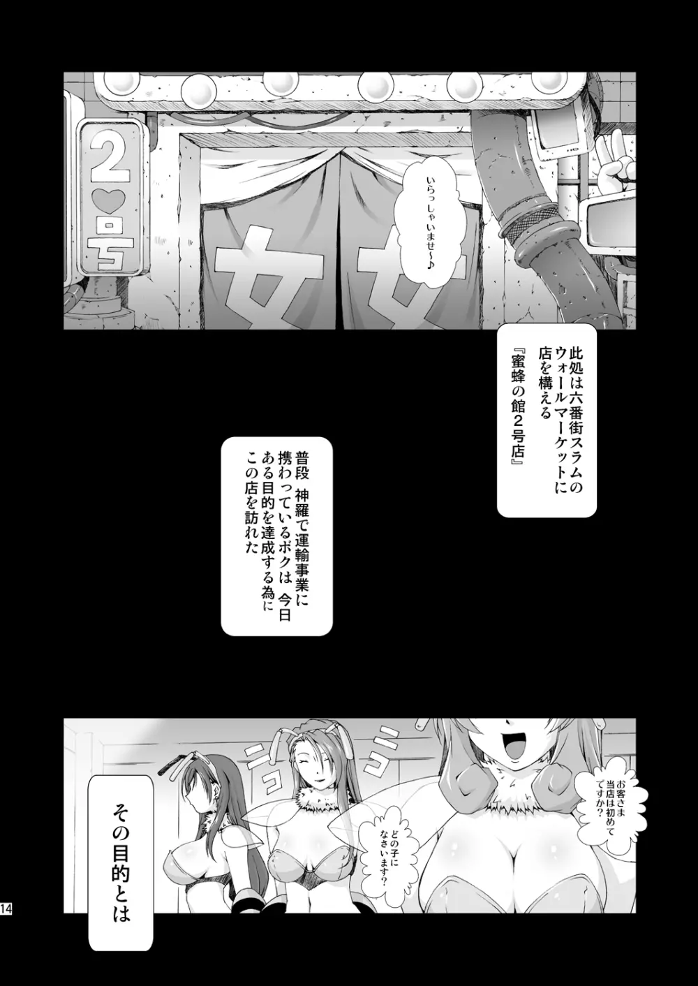 FF嬲 Reunion 02 Page.14