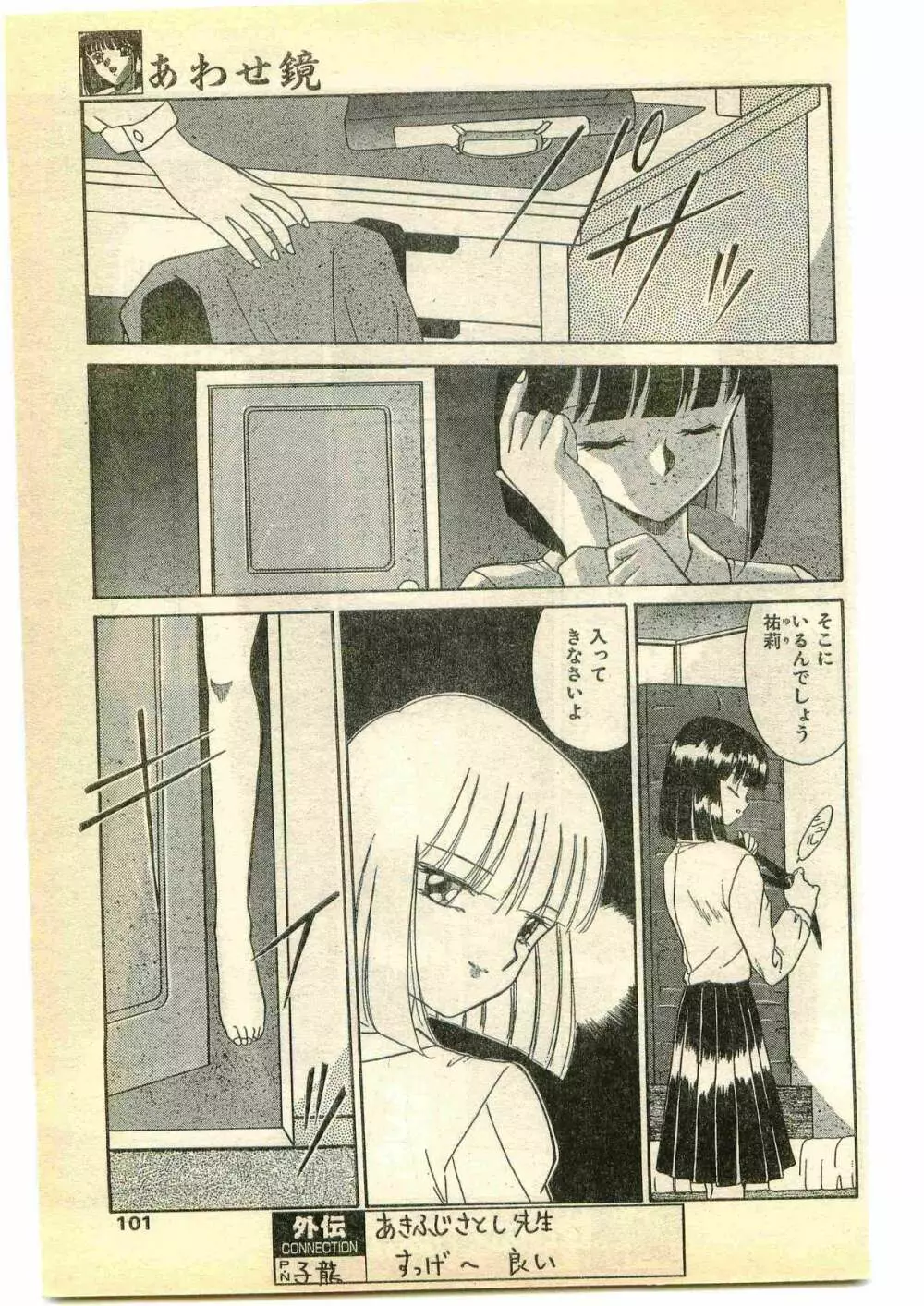 COMIC パピポ外伝 1995年5月号 Page.101