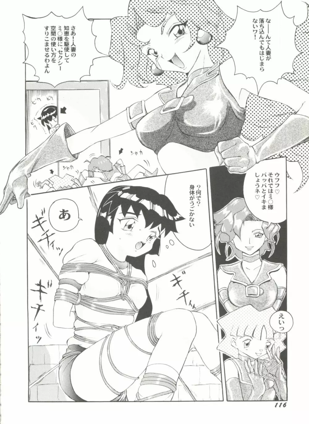 アニパロ美姫 10 Page.118