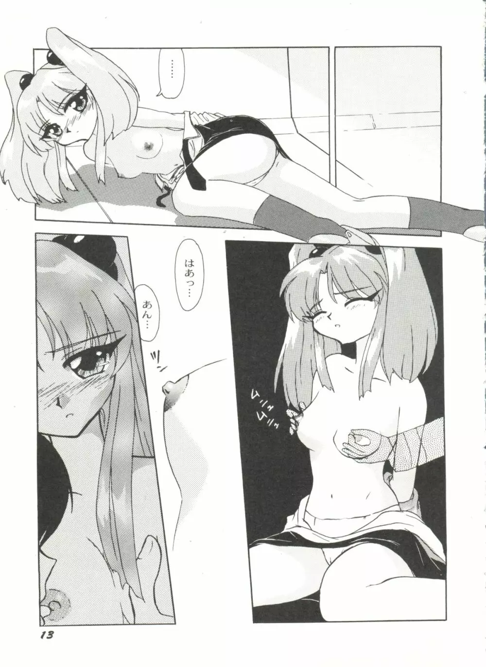 アニパロ美姫 10 Page.15