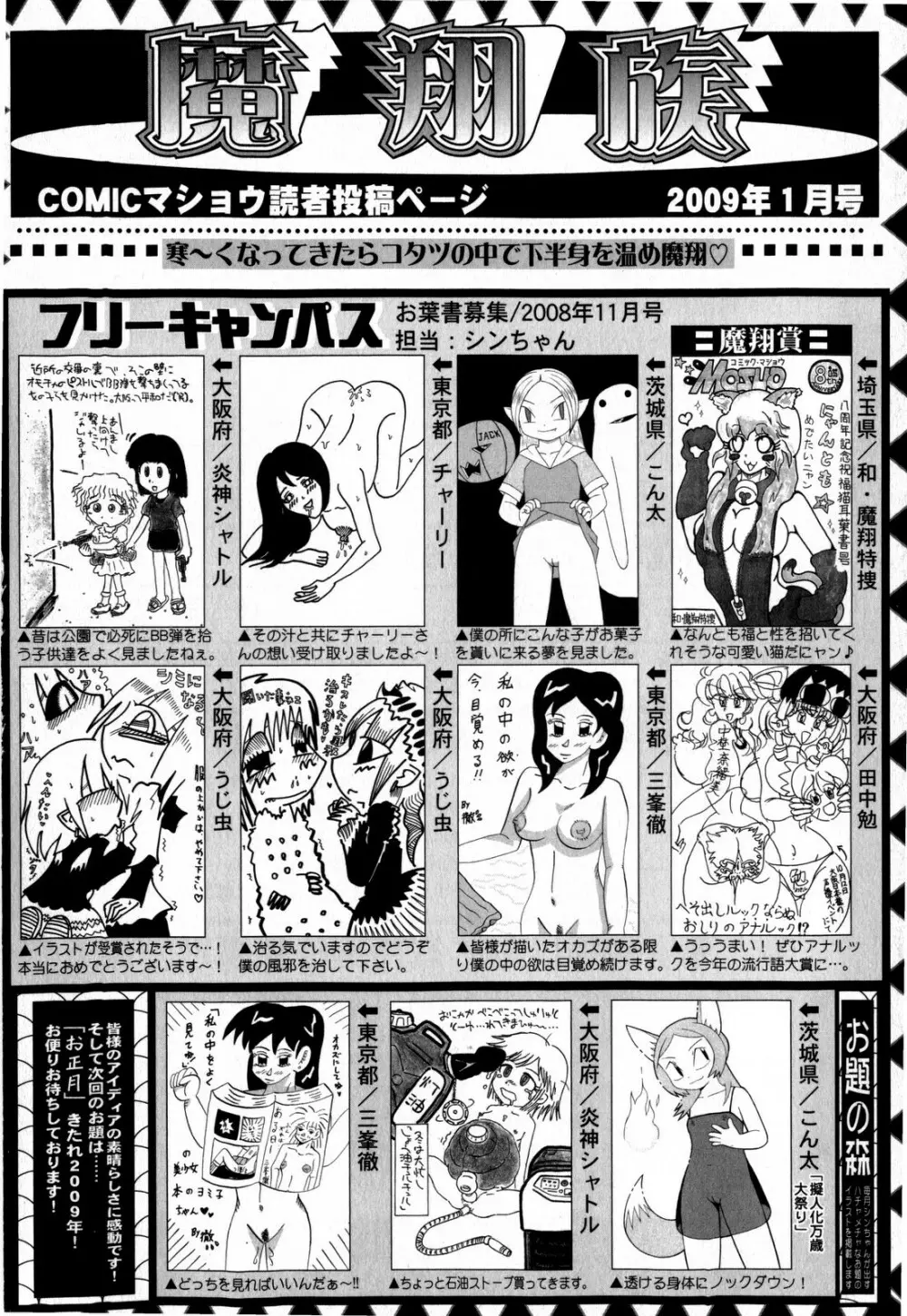 コミック・マショウ 2009年1月号 Page.252