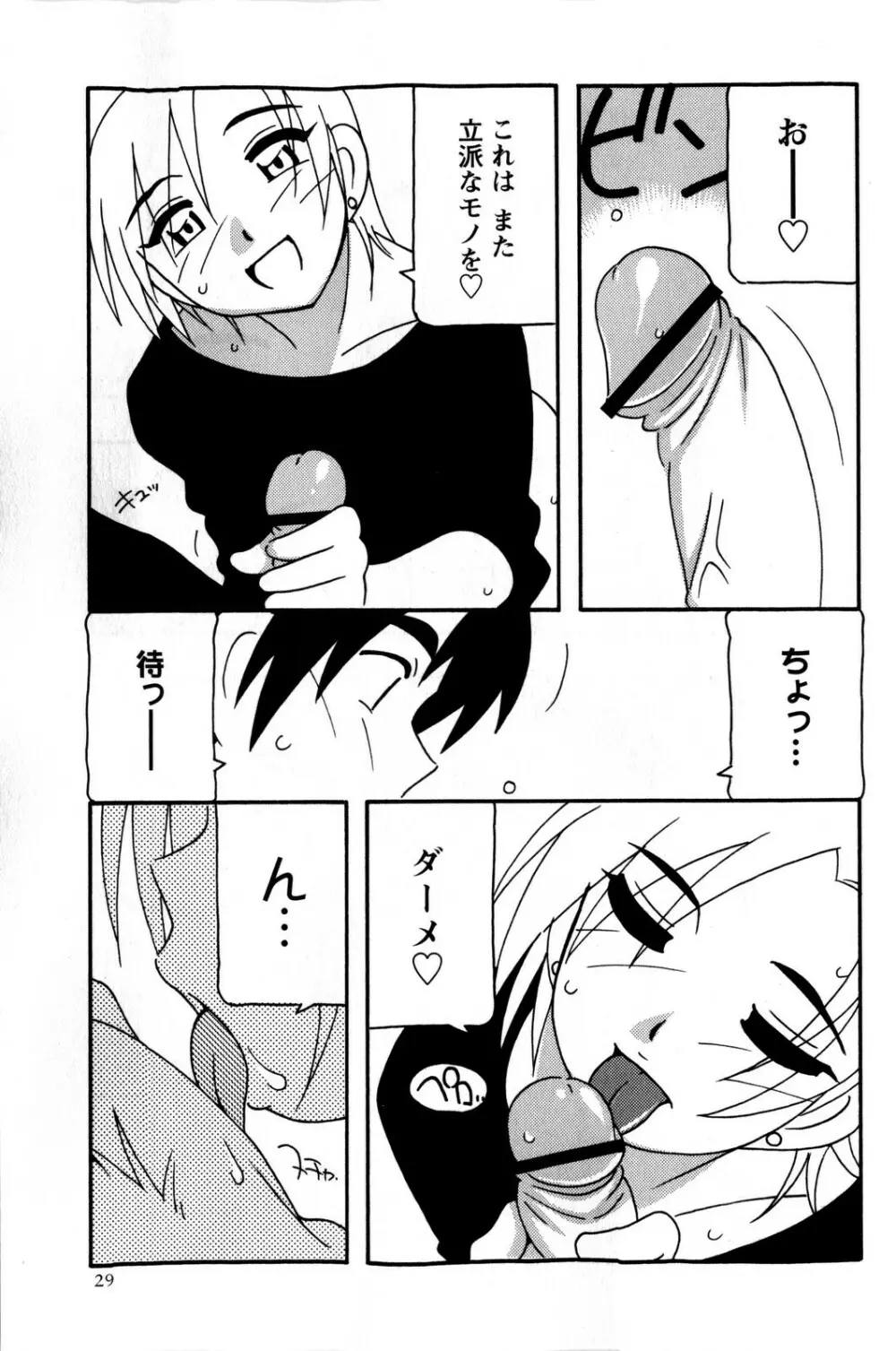 コミック・マショウ 2009年1月号 Page.29