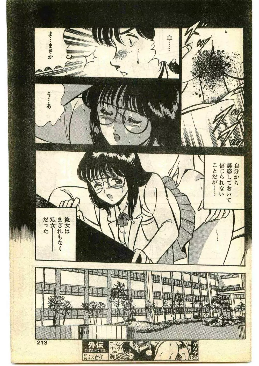 COMIC パピポ外伝 1995年1月号 Page.213