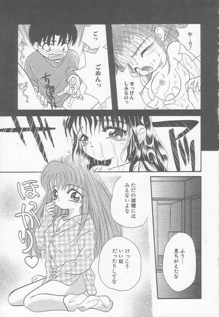 Chichi Page.45