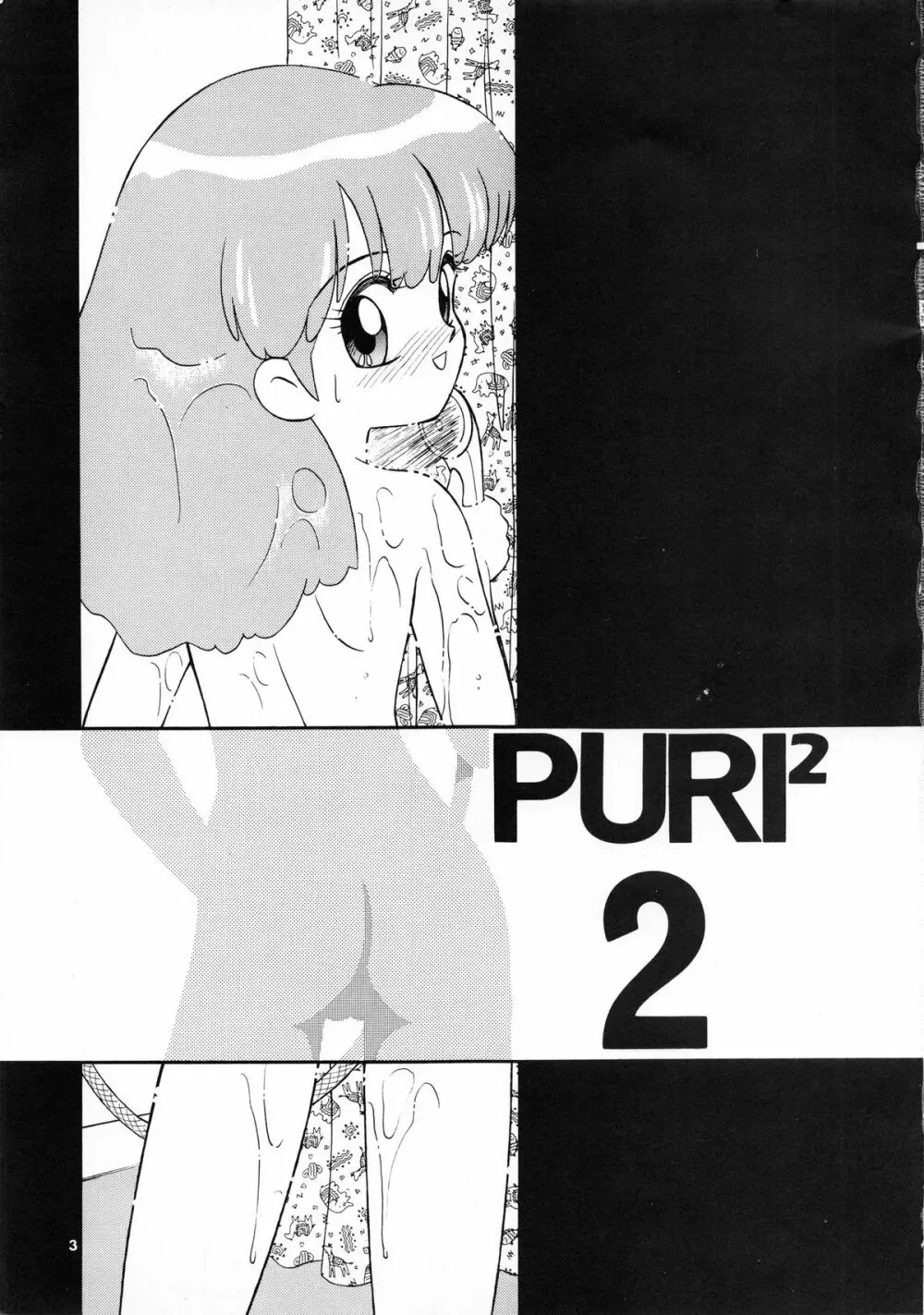 PURI² 2 Page.4