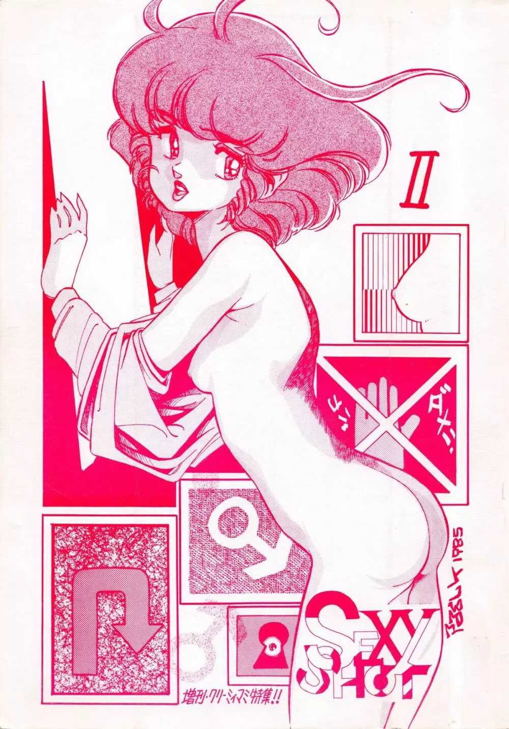 SEXY SHOT 増刊 2 Page.1