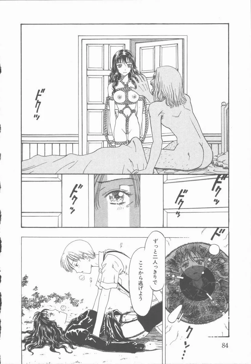 淫魔の棲む館 ～かわいた瞳～ Page.85