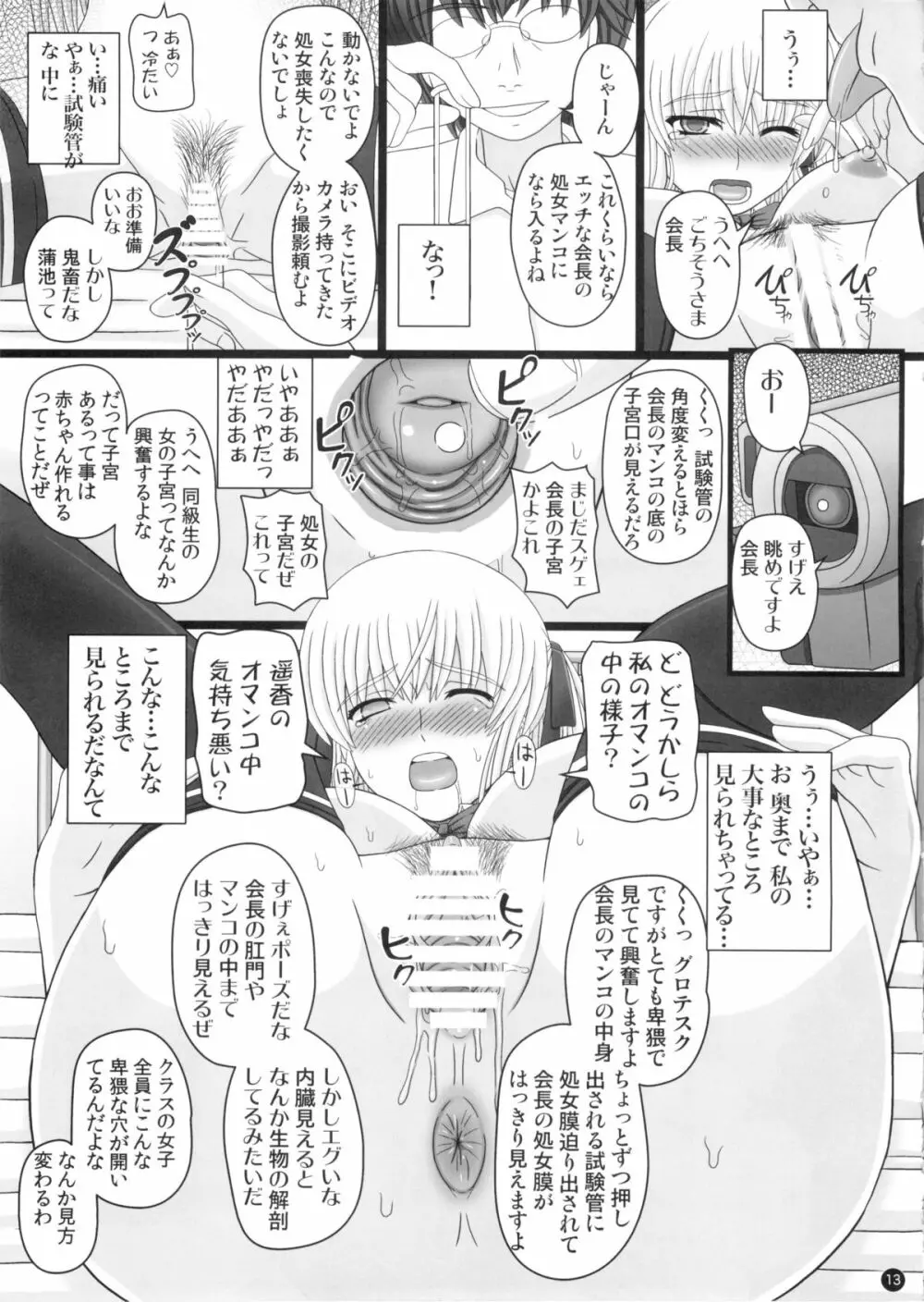 (C88) [幸せ共和国 (幸せのかたち)] かたしぶっ 0-2-15週 Page.13