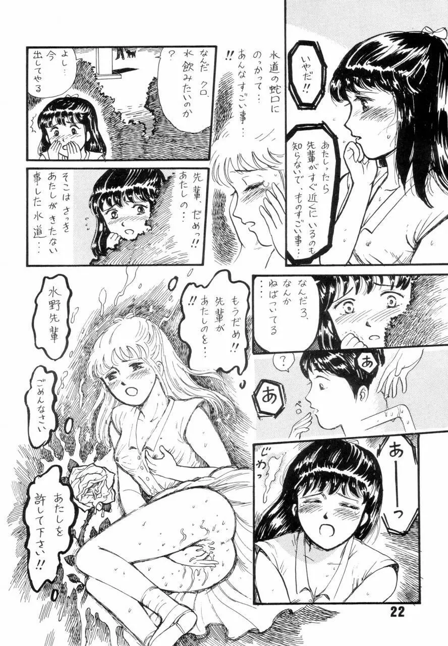 夏の夜は三たび微笑む Page.21