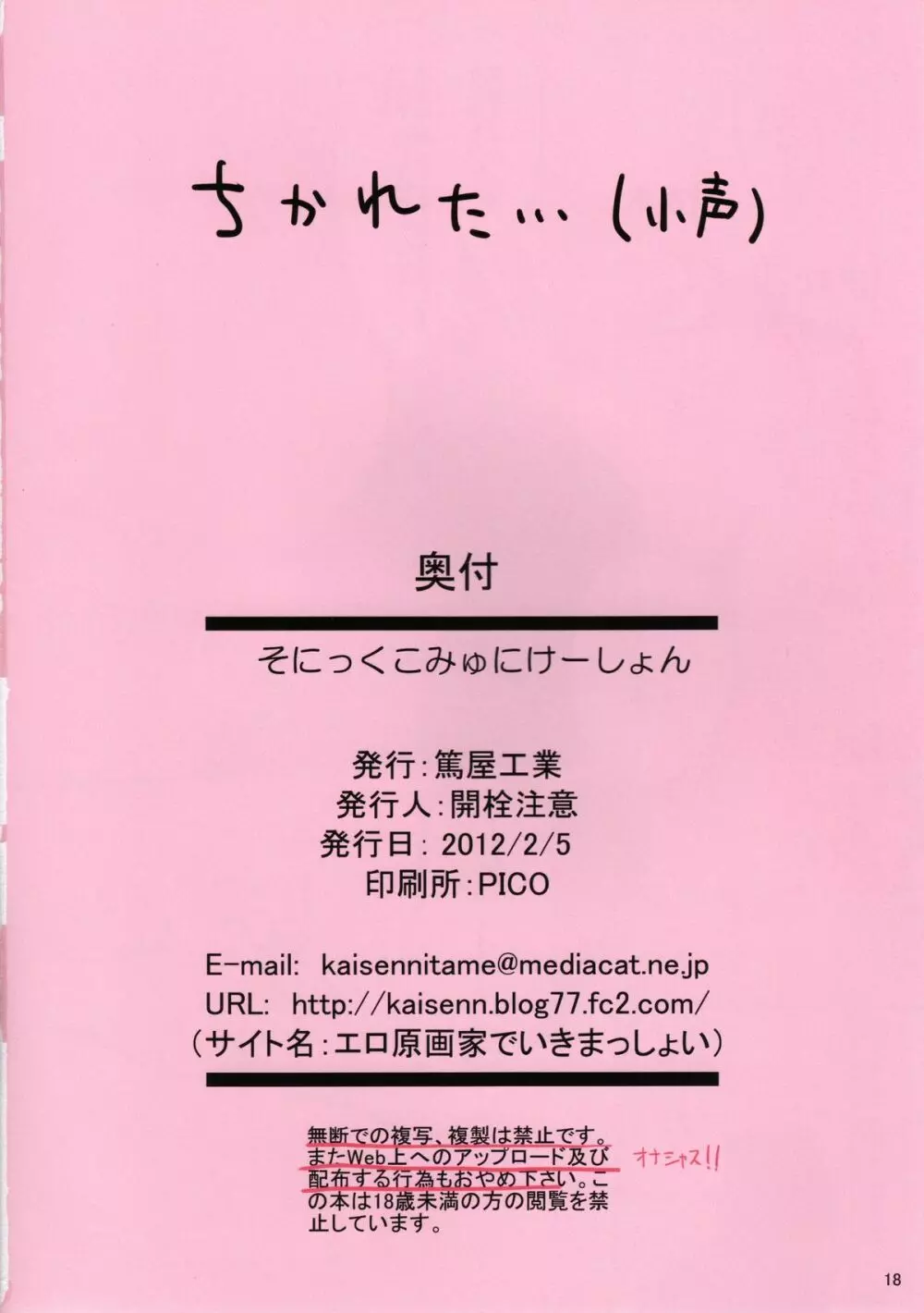 そにっくこみゅにけーしょん Page.17