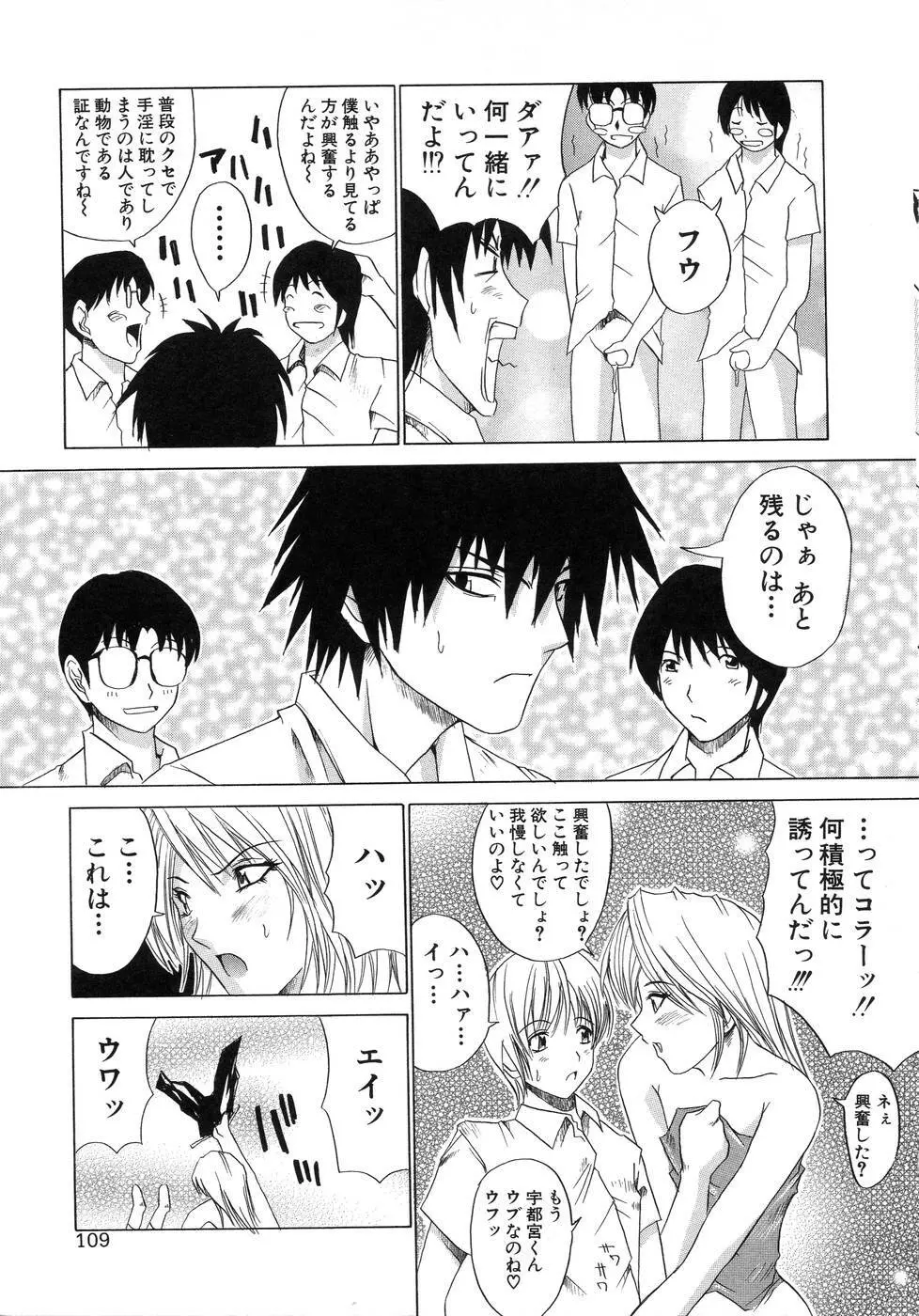 青葉木菟 Page.113