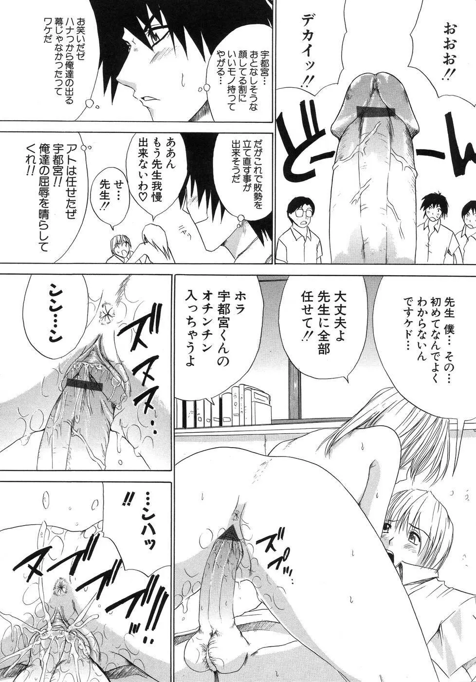 青葉木菟 Page.114