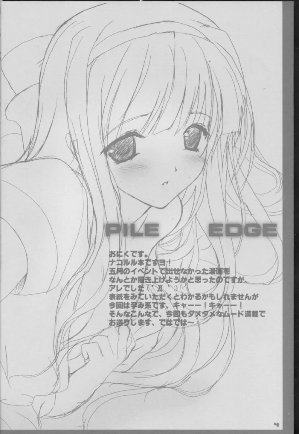 PILE EDGE Page.2