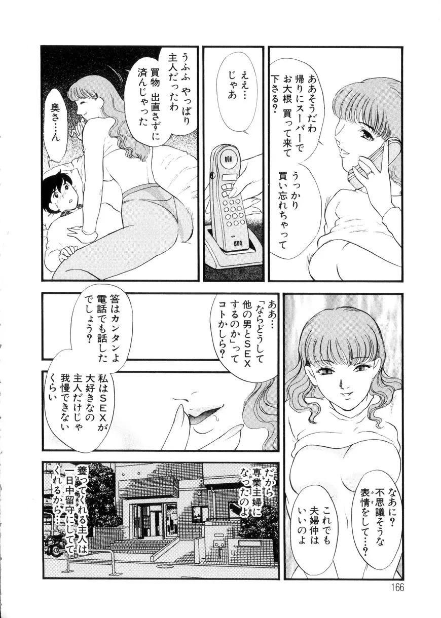 人妻模様3 乱れ妻 Page.166