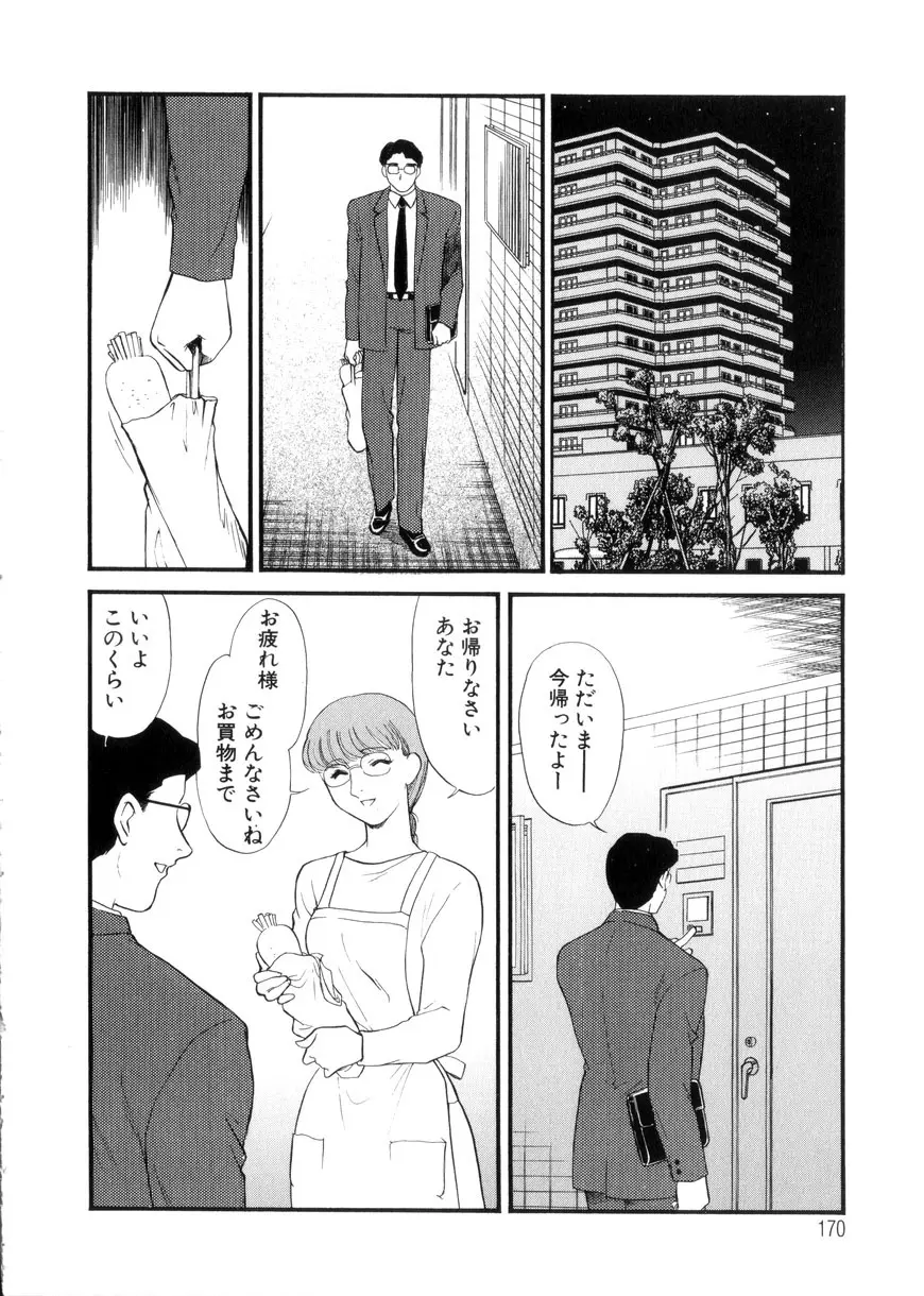 人妻模様3 乱れ妻 Page.170