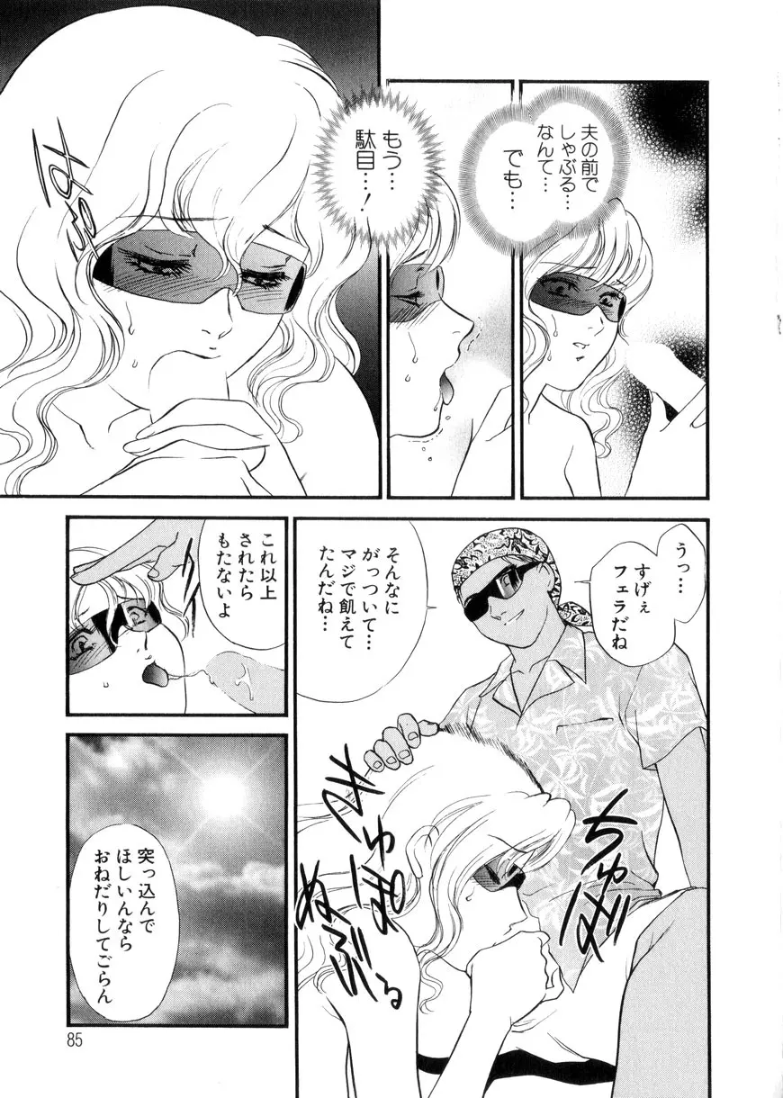 人妻模様3 乱れ妻 Page.85