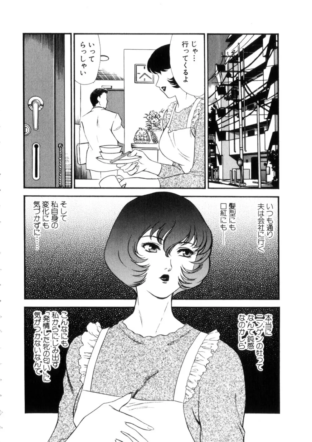 人妻模様4 悦り妻 Page.43