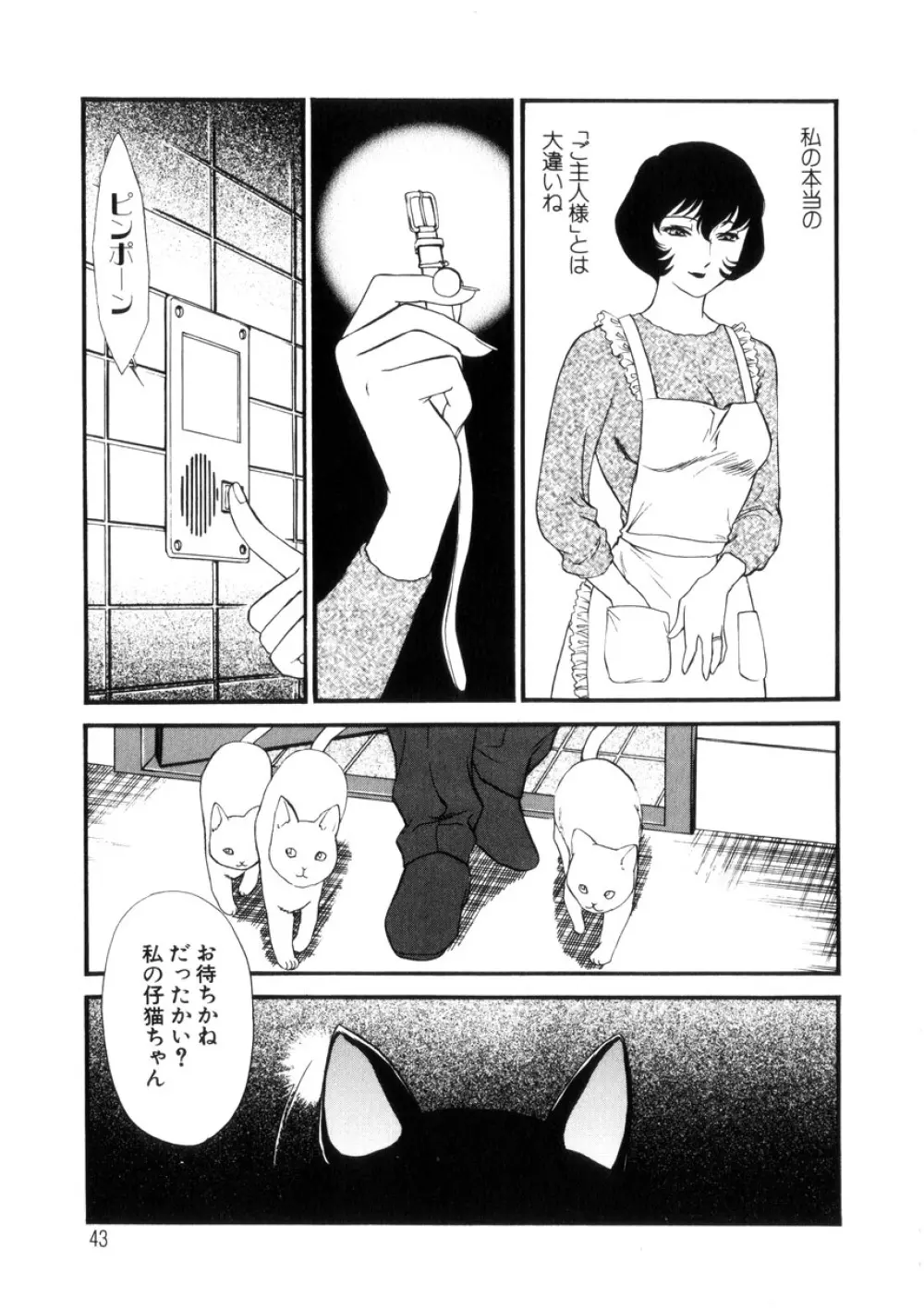 人妻模様4 悦り妻 Page.44