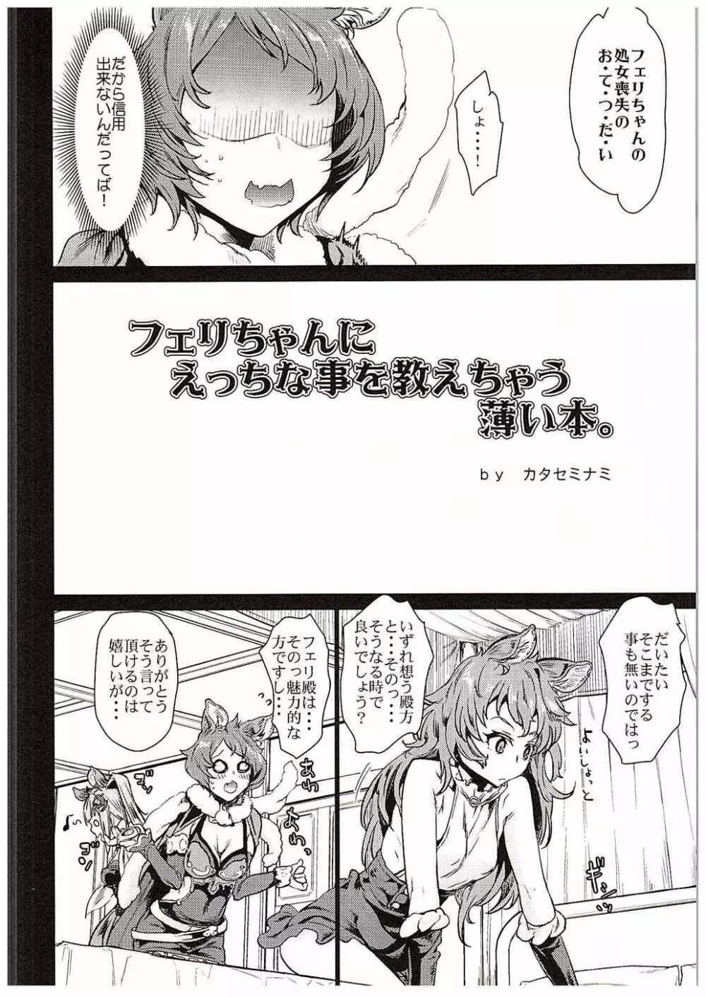 フェリちゃんにえっちなことを教えちゃう薄い本 Page.5