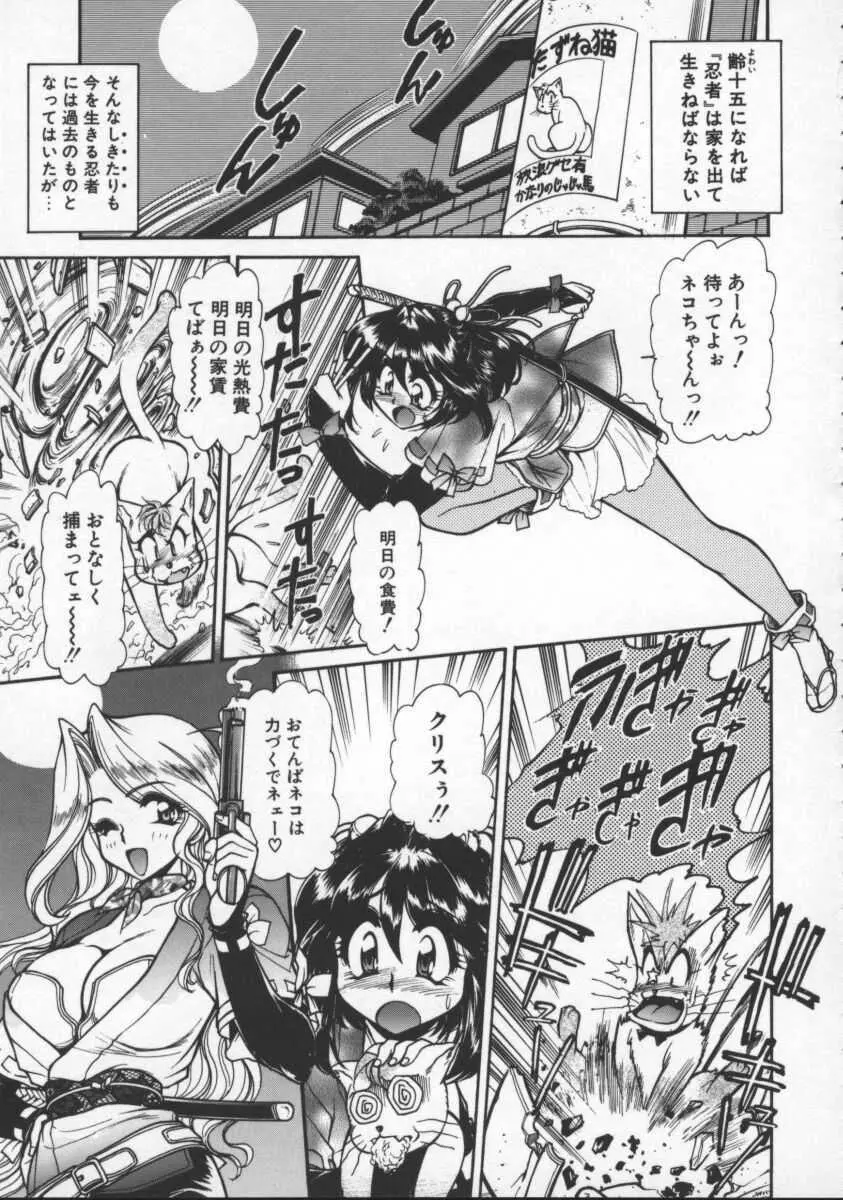 プレジャー・パラダイス Page.59