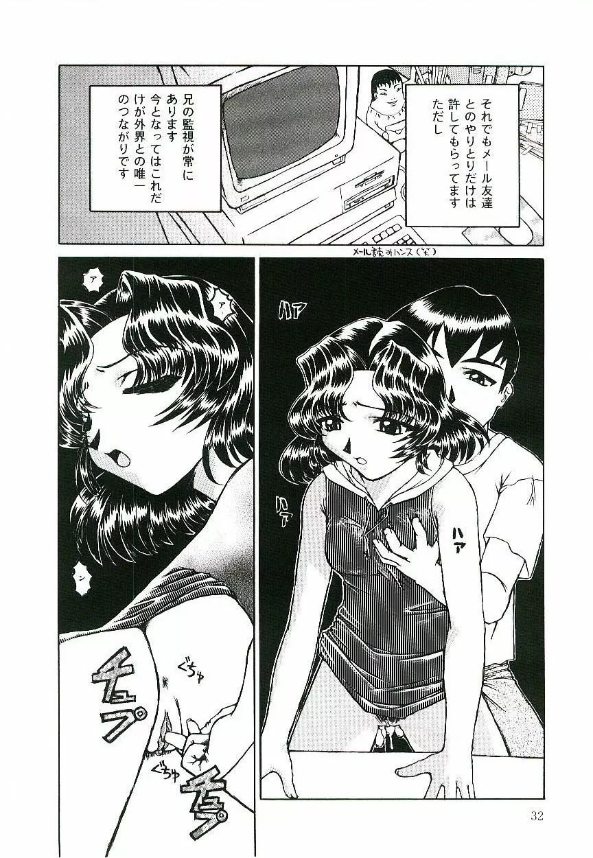 淫術指南書3号 Page.33