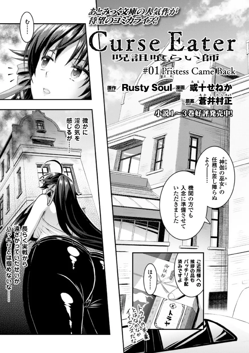 正義のヒロイン姦獄ファイル Vol.1 Page.7