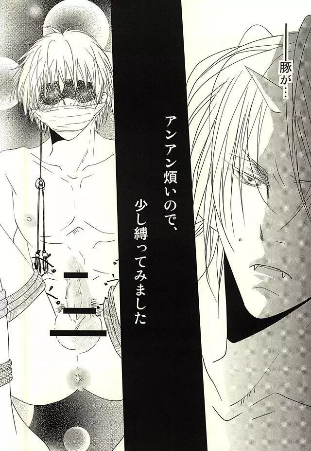 豚がアンアン煩いので、少し縛ってみました Page.2