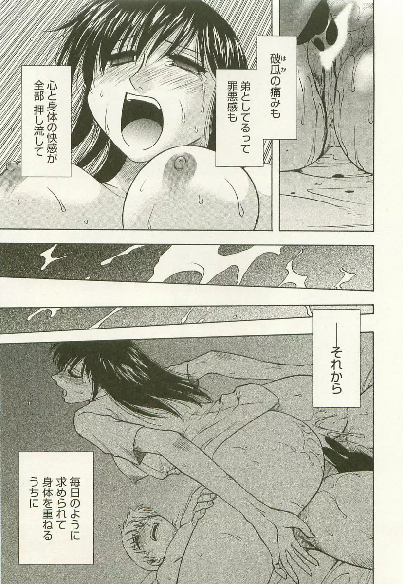 アネモエ 姉萌え Page.98