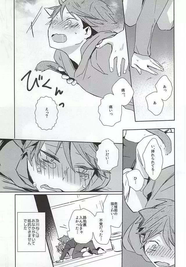 猫になった及川さん Page.10