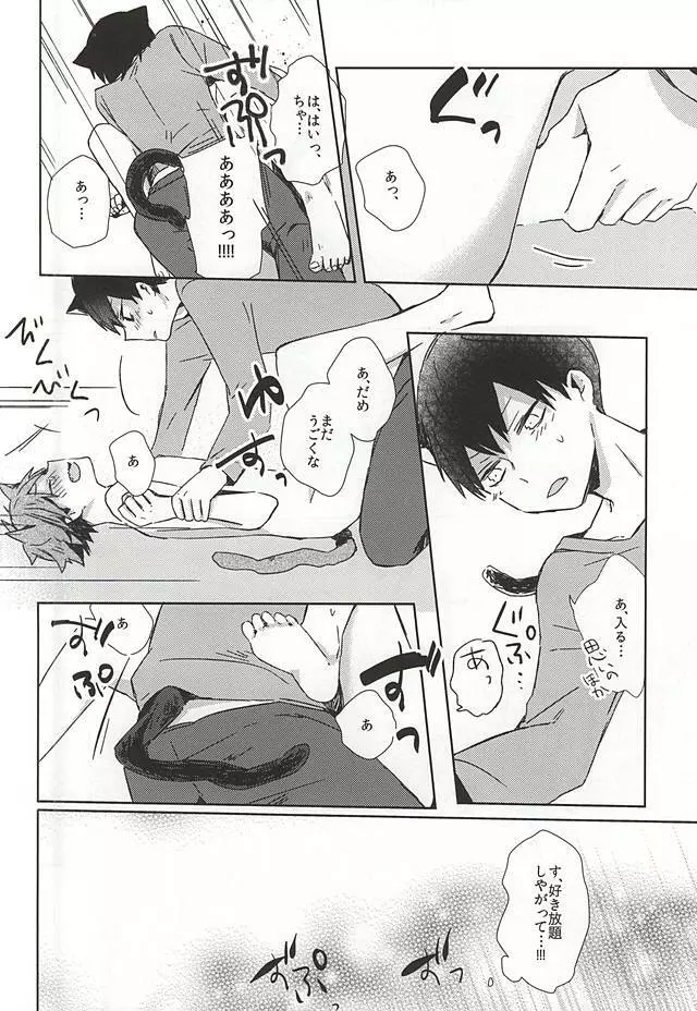 猫になった及川さん Page.25