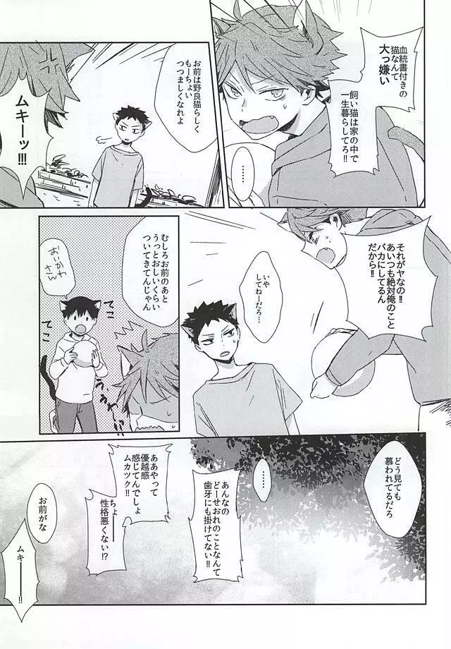 猫になった及川さん Page.4