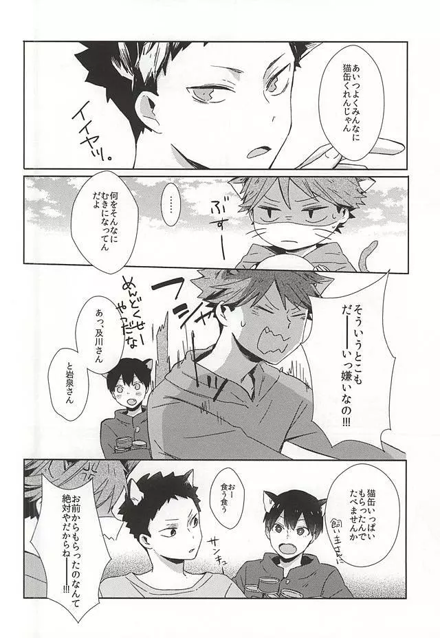 猫になった及川さん Page.5