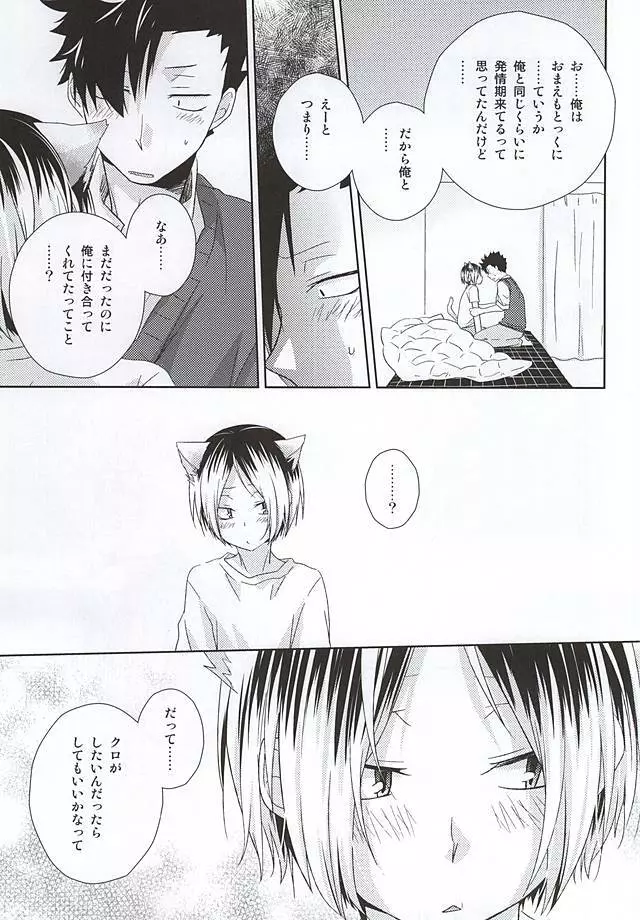 猫男一族の交尾レポート Page.24