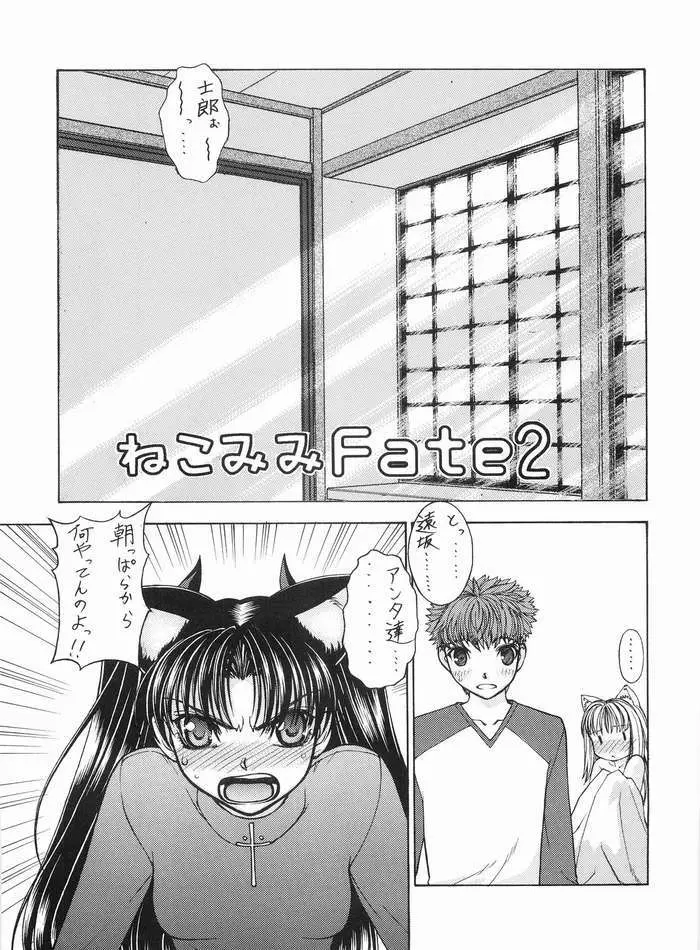 ねこみみFate 2 Page.5