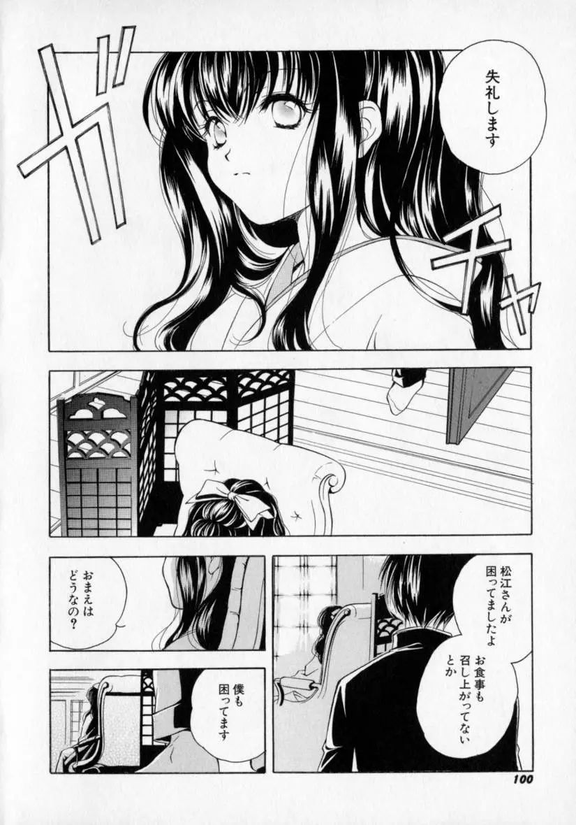 シトロン・ヴェール Page.104