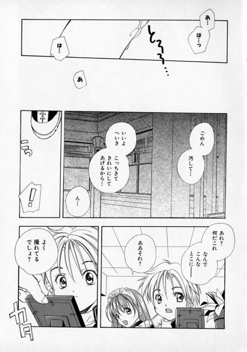 シトロン・ヴェール Page.45