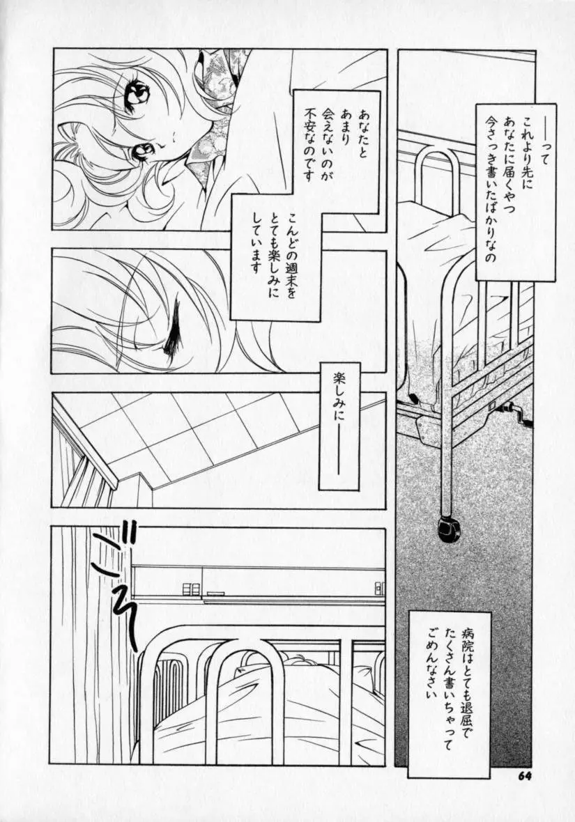 シトロン・ヴェール Page.68