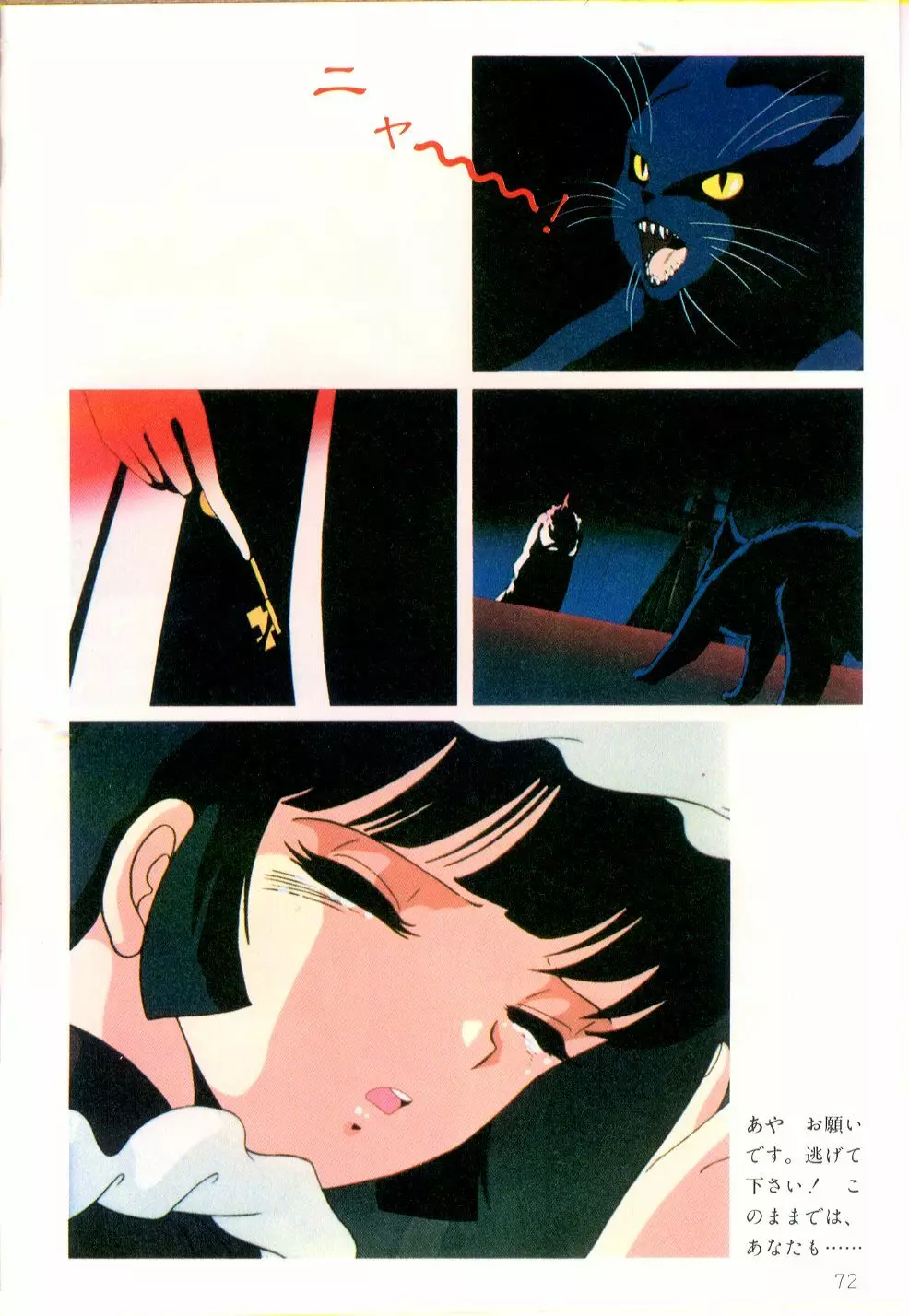 くりいむレモン・フィルム・コミックス くりいむレモン PART11 黒猫館 Page.73