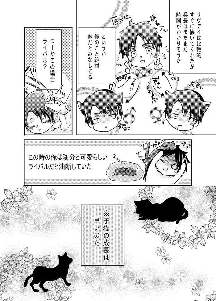 双子猫拾いました Page.6