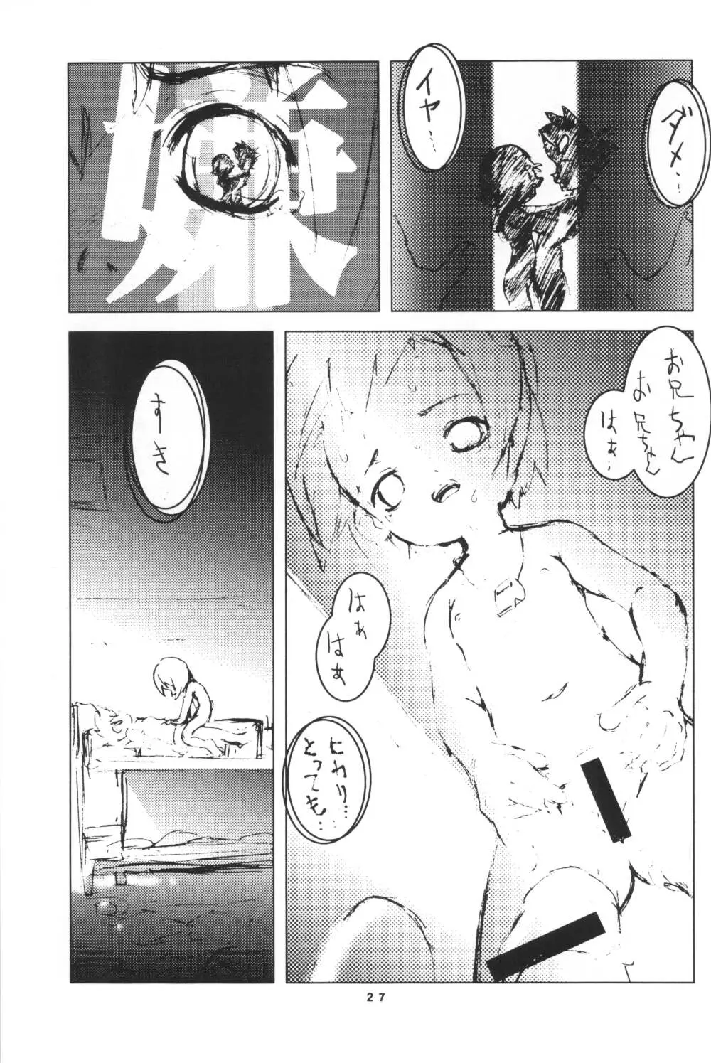 ヒカリン Page.27