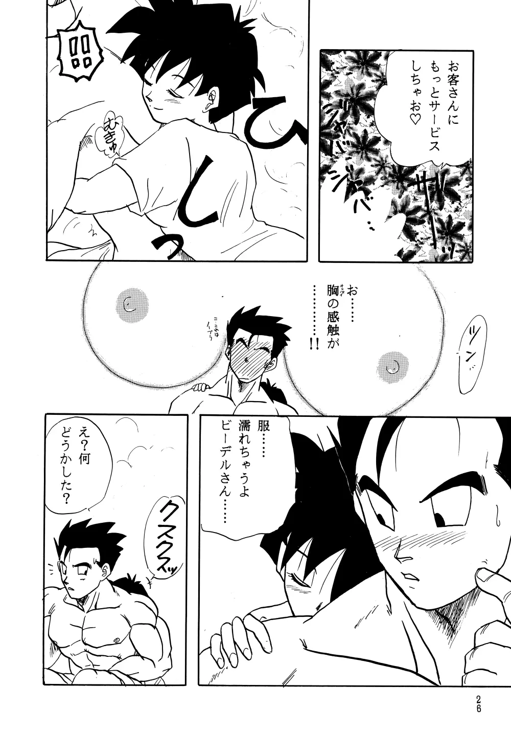 Z Page.26